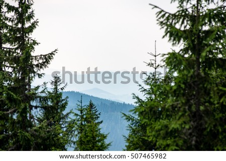 View to the carpathian mountains from forest with lonely trees and clouds above