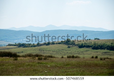 View to the carpathian mountains from forest with lonely trees and clouds above