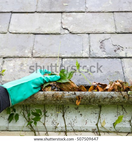cleaning gutter blocked with leaves Royalty-Free Stock Photo #507509647