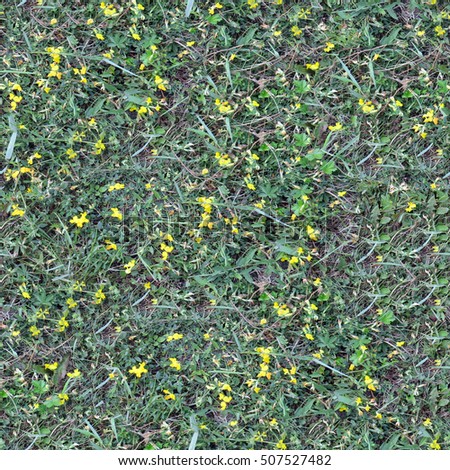 seamless texture os grass with small yellow flowers