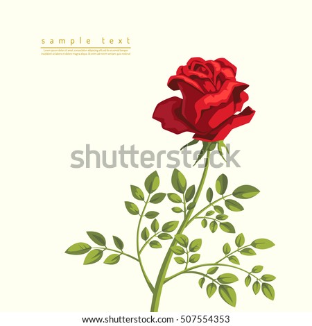 Red Rose. Vector illustration with blooming rose branch