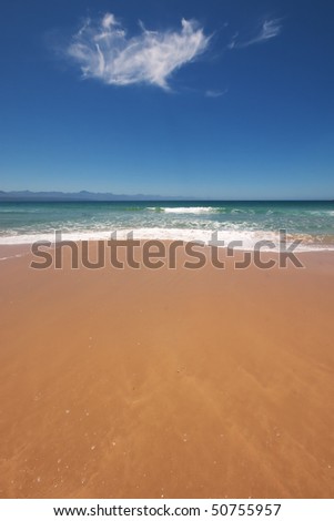 Vertical shot of beach in South Africa on a sunny day