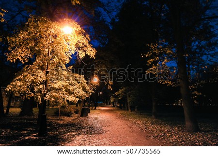 City park at twilight with street lights, pathway, alley and trees autumn. Autumn park. Night park. Autumn alley. Autumn night landscape. Selective focus.