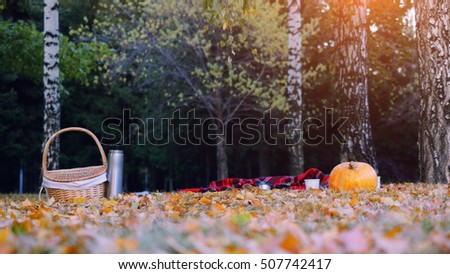 Picture of pumpkin, wicker baskets and plaid blanket on autumn leaves