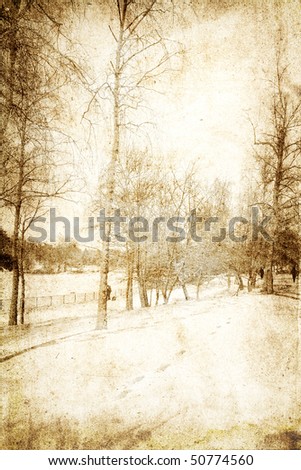 Snowy landscape .Photo in vintage  image style.