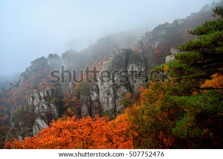 Autumn Colors Leaves in Daedun mountain
