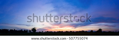 beautiful sunset with siluate tree panorama 