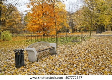 Beautiful autumn landscape - golden Polish autumn - autumn alley