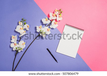 Flat lay photo of a creative freelancer woman workspace desk with copy space background. Image taken from above, top view. Minimal style with colorful paper backdrop