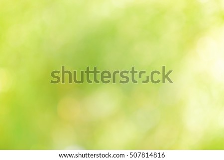 Bokeh of Nature Tree texture Abstract background, Nature background concept.