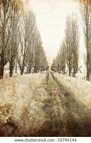 Road in snow through forest. Photo in old image style.