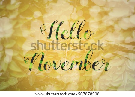 hello november text. season life style inspiration quotes lettering. motivational typography.