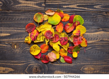 Colorful autumn leaves, yellow, orange and red over a wooden background