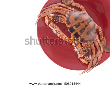 fresh crab on a red plate isolated on white background