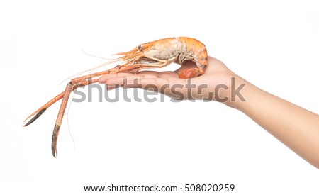 Hand holding Shrimp grilled isolated on white background