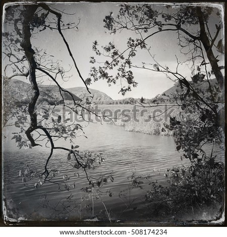 Tintype photo of tree branches overlooking Constitution marsh and Storm King mountain on the Hudson River