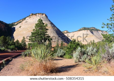 zion national park, checkerboard mesa, utah, united states