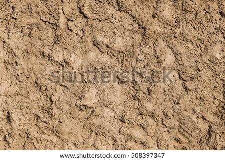 Bright brown rough color texture closeup for background