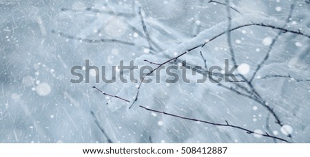 winter wonderland background