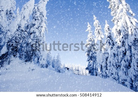 Photo of snow covered field and trees; snowy weather; winter concept