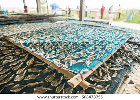 salted small fish in cage ,thailand