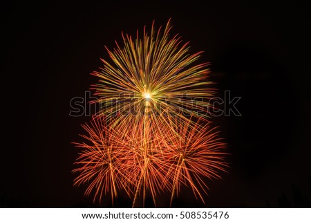 Colorful fireworks light on the sky