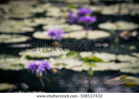 Abstract blured lotus flower background.