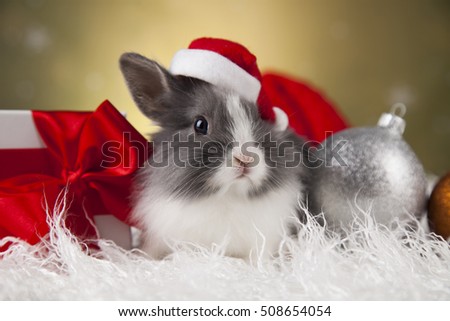 Holiday Christmas bunny in Santa hat on gift box background