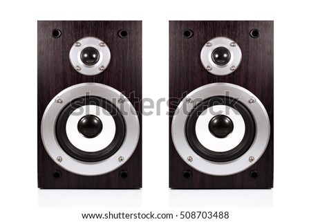 Audio speaker in a wooden case. Isolated on white background