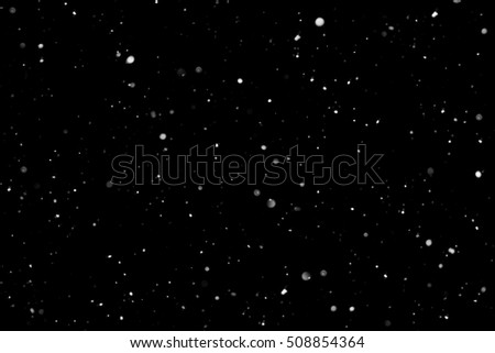 Snow overlay backdrop.Falling snowflakes isolated on black background - Design element. New year 2020