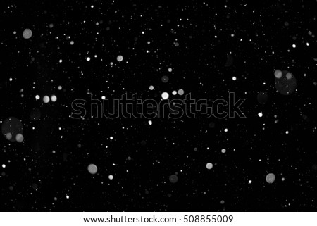 Snowflakes isolated on black background. Design element