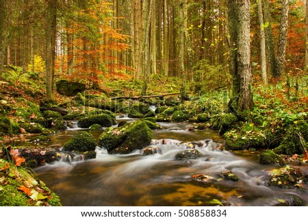 Autumn creek in Czech republic.
