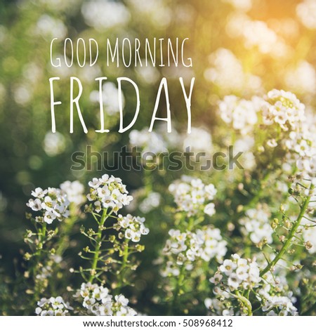 Good morning Friday over blur flower background with sun light