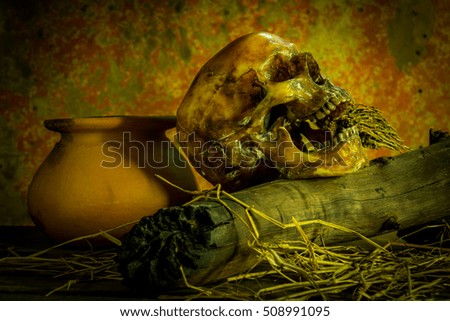 Human skull on old wood background, still life concept