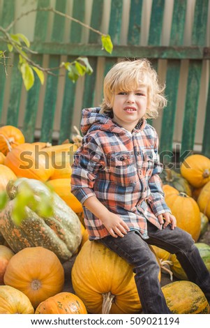 Cute little boy sitting on a pumpkin in the garden