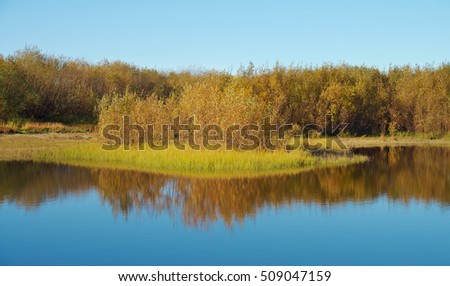 Fall River, reflected in the water autumn trees.  Arkhangelsk region, Russia