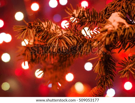 Christmas and New Year`s bokeh image. Snowy tree, fir cones and tree branches.  Greeting card blue Background concept holiday.