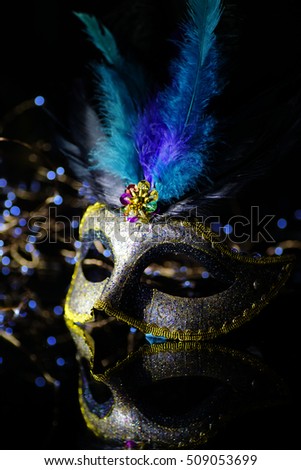Masquerade venitian carnival mask, female theatrical feathers