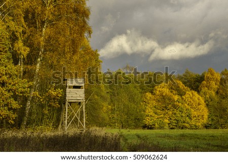 Hunting Tower, autumnal forest
