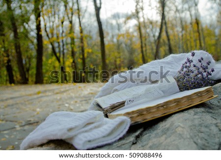 The book, knitted scarf and gloves on a rock in the autumn park. Autumn landscape