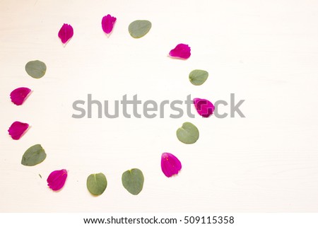view of top pink cosmos flowers and silver leaf were made a circle on white background 
