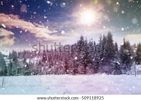 Christmas background with snowy fir trees in heavy snowing