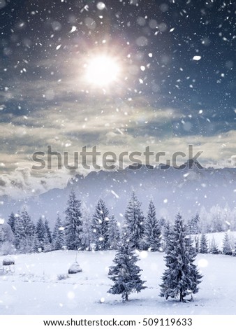 Christmas background with snowy fir trees in heavy snowing