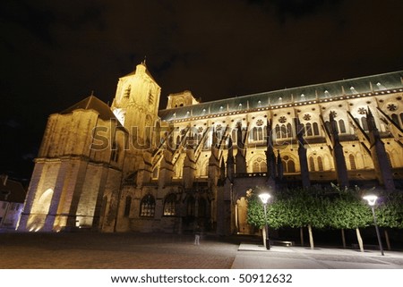 The Gothic cathedral of St.Etienne photographed at night