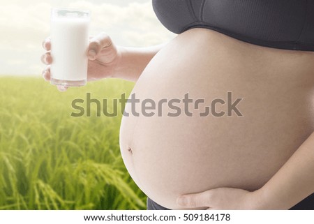 belly of a pregnant woman with glass of milk on a natural background
