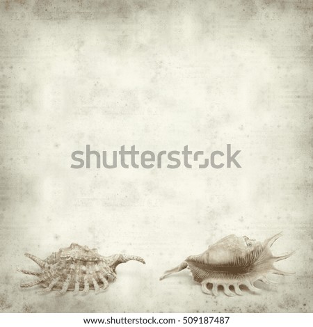 textured old paper background with tropical shell