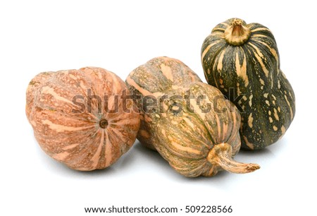 butternut squash isolated on white