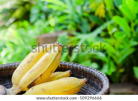 a selective focus picture of a twin bananas in a bamboo basket 