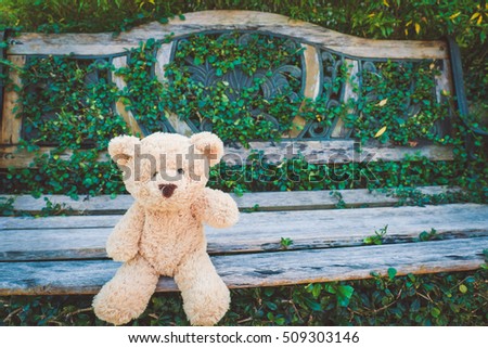 teddy bear adventure, selective focus, vintage