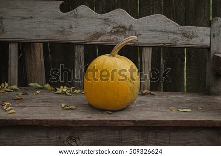Pumpkins on a bench